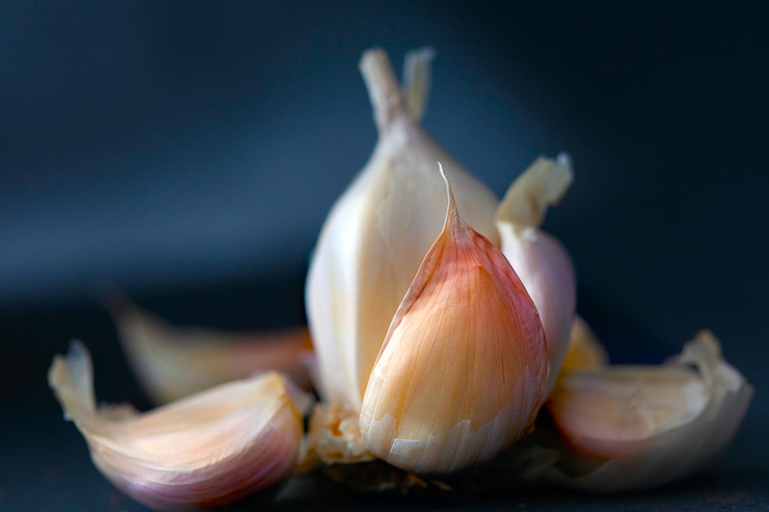 How to use a garlic press Zyliss UK
